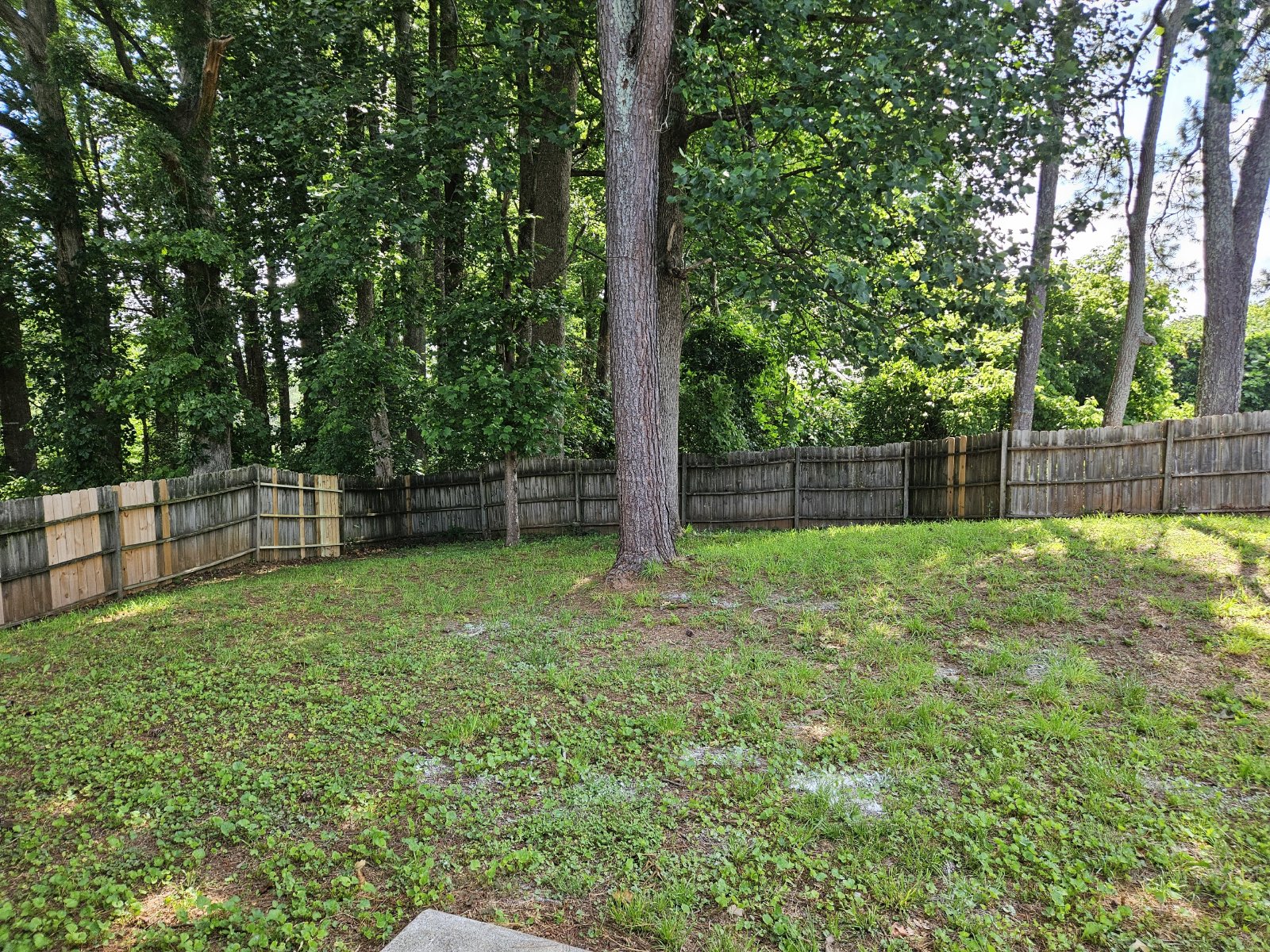 Updated 3 bed 2.5 bath home located in Canton property image
